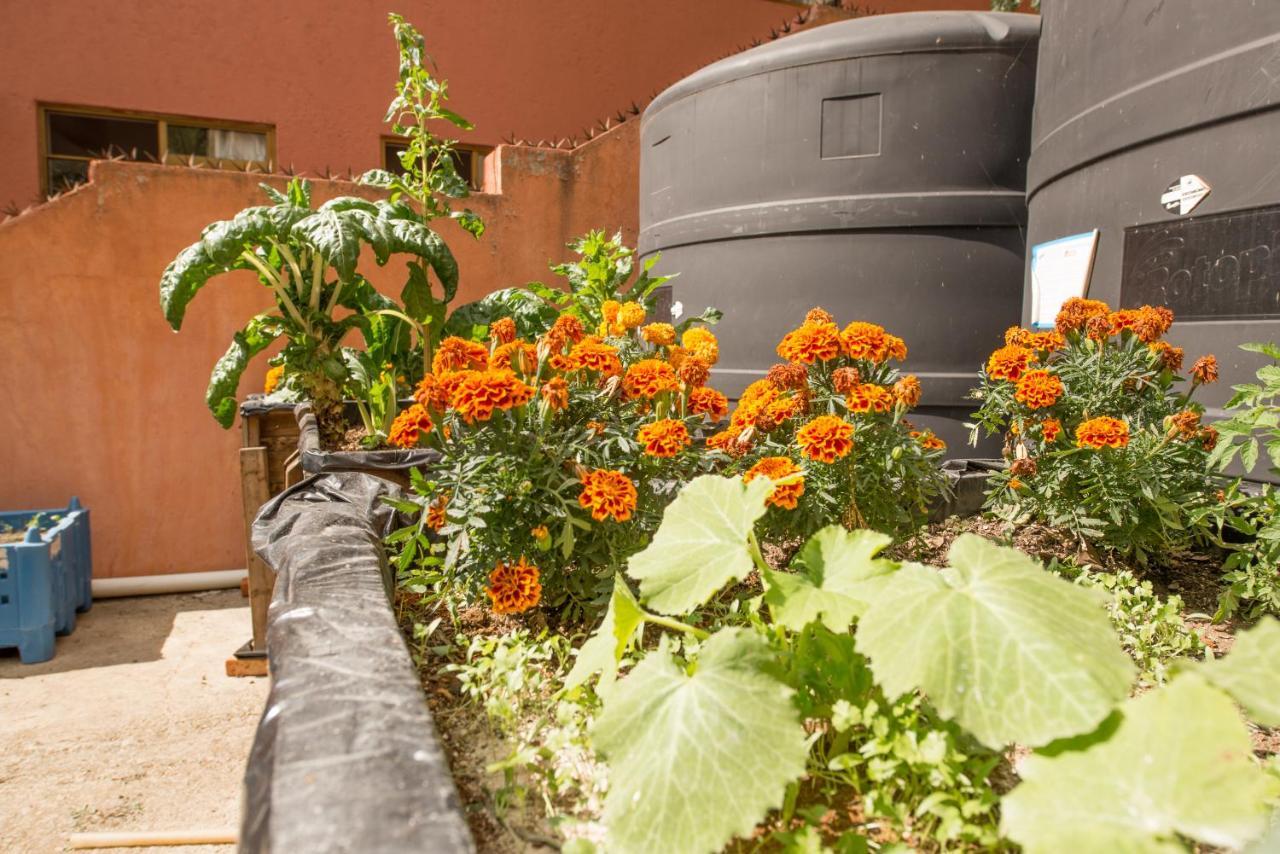Casa Estrella De La Valenciana Hotel Boutique Γκουαναχουάτο Εξωτερικό φωτογραφία